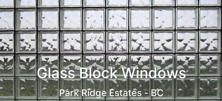  Glass Block Windows Park Ridge Estates - BC