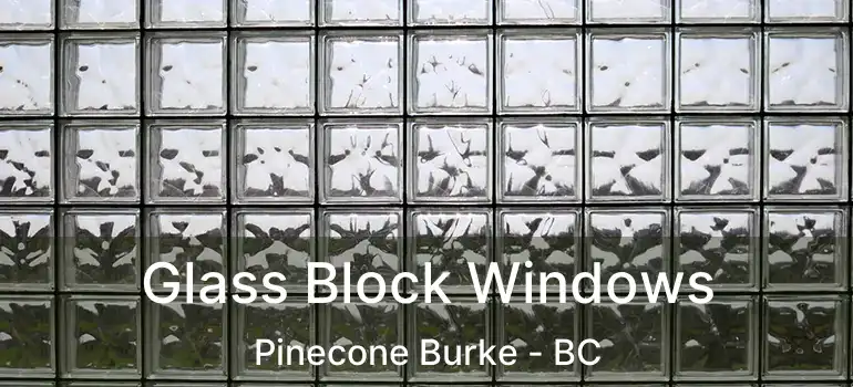  Glass Block Windows Pinecone Burke - BC
