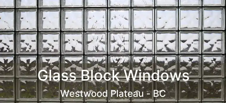  Glass Block Windows Westwood Plateau - BC