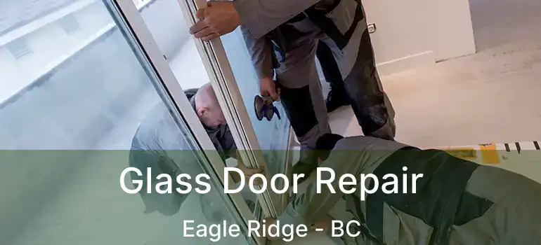  Glass Door Repair Eagle Ridge - BC