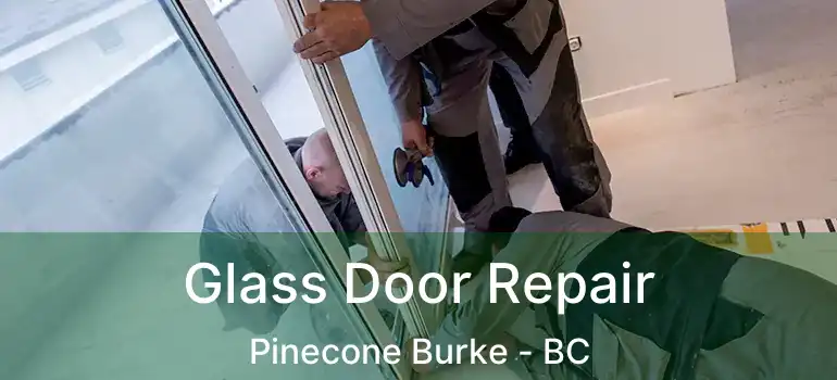  Glass Door Repair Pinecone Burke - BC