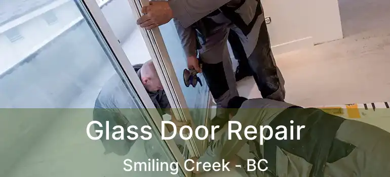  Glass Door Repair Smiling Creek - BC