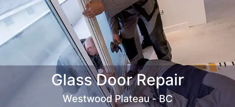  Glass Door Repair Westwood Plateau - BC