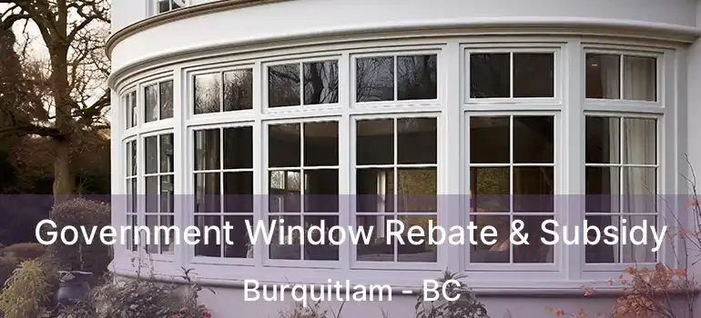  Government Window Rebate & Subsidy Burquitlam - BC