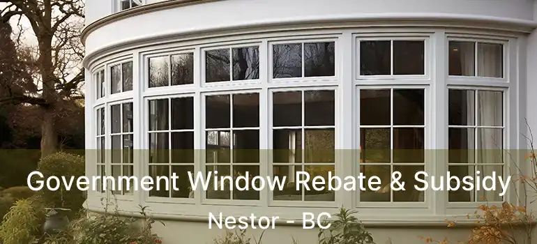  Government Window Rebate & Subsidy Nestor - BC