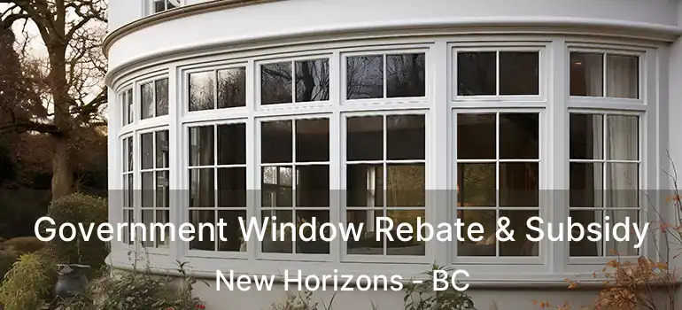  Government Window Rebate & Subsidy New Horizons - BC