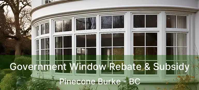  Government Window Rebate & Subsidy Pinecone Burke - BC