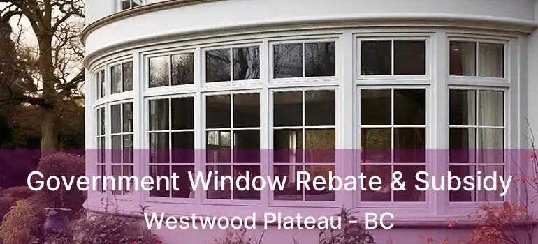  Government Window Rebate & Subsidy Westwood Plateau - BC