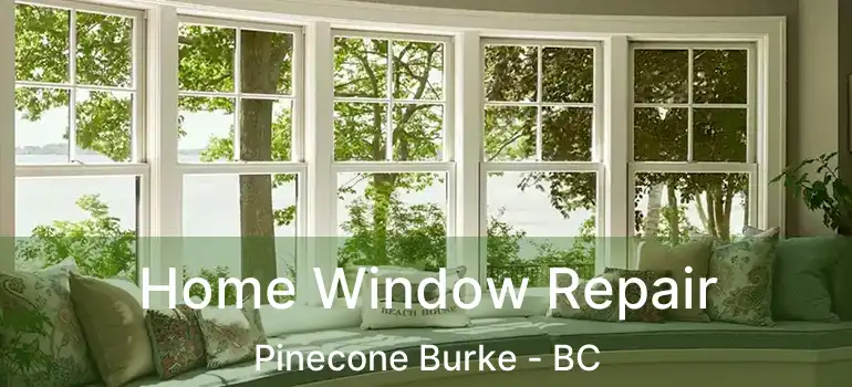  Home Window Repair Pinecone Burke - BC