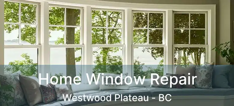 Home Window Repair Westwood Plateau - BC