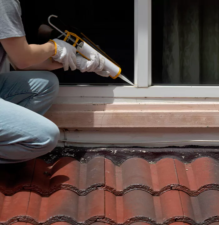 Roof Window Services in Coquitlam, British Columbia