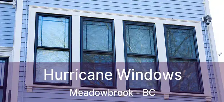  Hurricane Windows Meadowbrook - BC