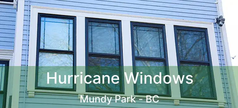  Hurricane Windows Mundy Park - BC