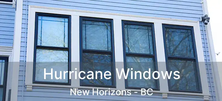  Hurricane Windows New Horizons - BC