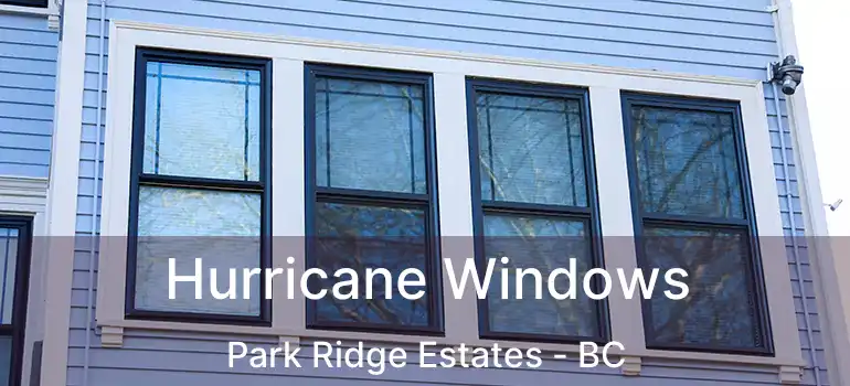  Hurricane Windows Park Ridge Estates - BC