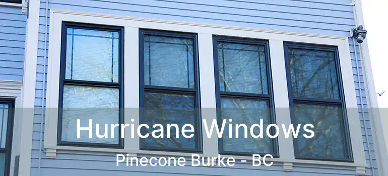  Hurricane Windows Pinecone Burke - BC