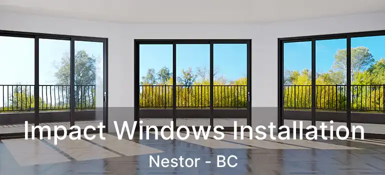  Impact Windows Installation Nestor - BC