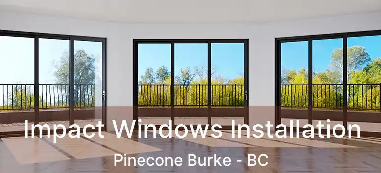  Impact Windows Installation Pinecone Burke - BC