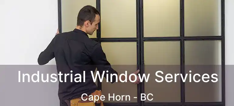  Industrial Window Services Cape Horn - BC