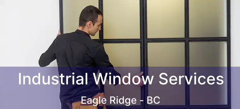  Industrial Window Services Eagle Ridge - BC