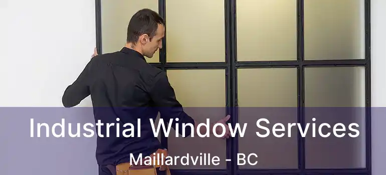  Industrial Window Services Maillardville - BC