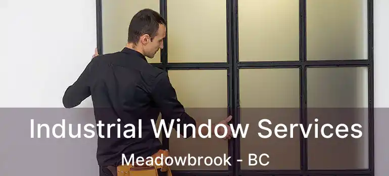  Industrial Window Services Meadowbrook - BC