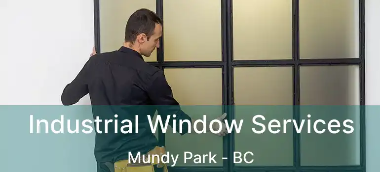  Industrial Window Services Mundy Park - BC