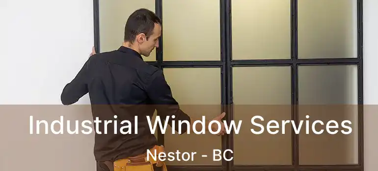  Industrial Window Services Nestor - BC