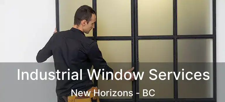  Industrial Window Services New Horizons - BC