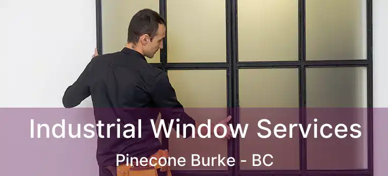  Industrial Window Services Pinecone Burke - BC