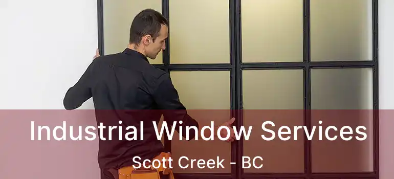  Industrial Window Services Scott Creek - BC