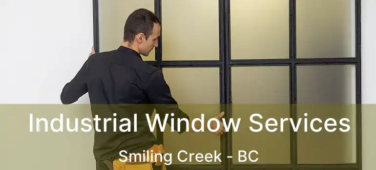  Industrial Window Services Smiling Creek - BC