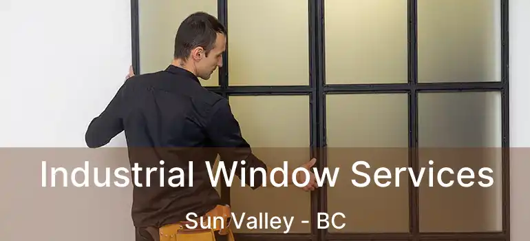  Industrial Window Services Sun Valley - BC