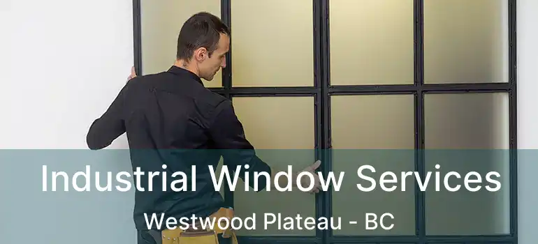 Industrial Window Services Westwood Plateau - BC
