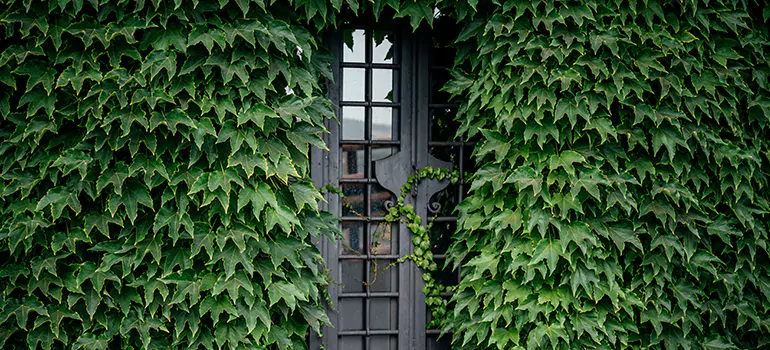 Garden Gate Repair in Hockaday, BC