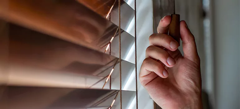 Double Roller Blinds in Summit View, British Columbia
