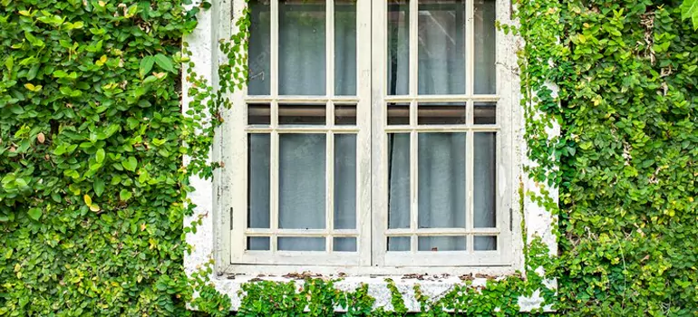 Garden Window Repair Near Me in Summit View, BC