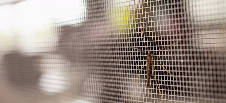 Repair Mosquito Mesh For Windows in Hockaday, British Columbia