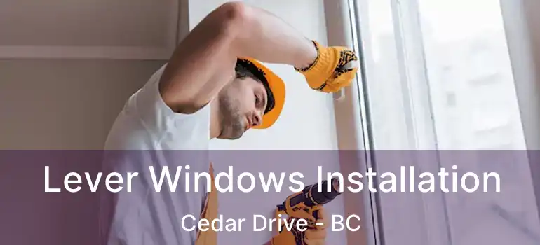  Lever Windows Installation Cedar Drive - BC