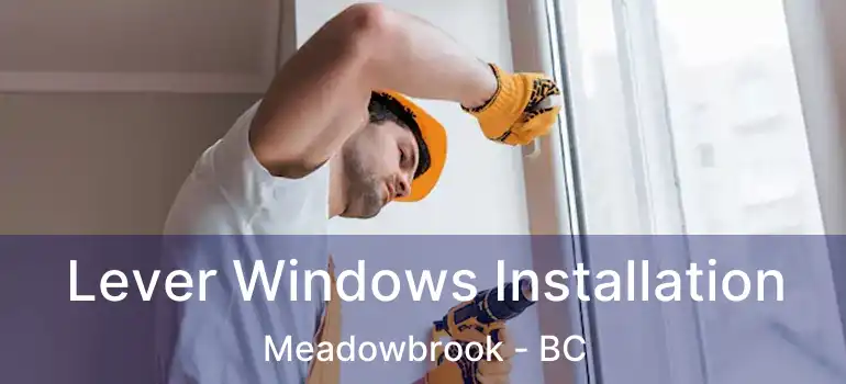  Lever Windows Installation Meadowbrook - BC