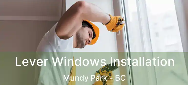  Lever Windows Installation Mundy Park - BC