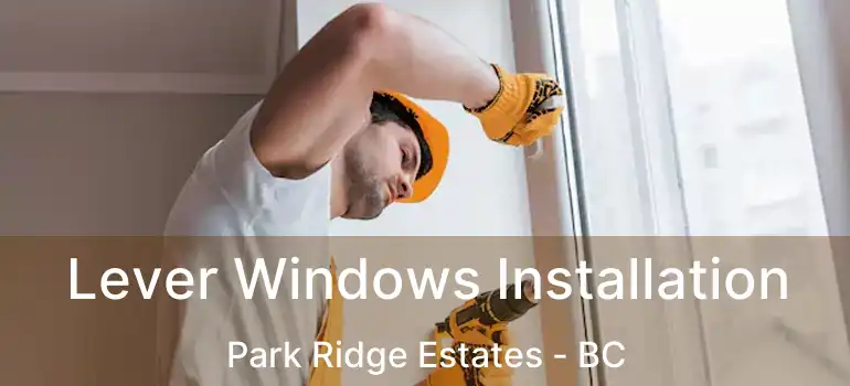  Lever Windows Installation Park Ridge Estates - BC
