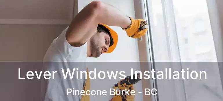  Lever Windows Installation Pinecone Burke - BC