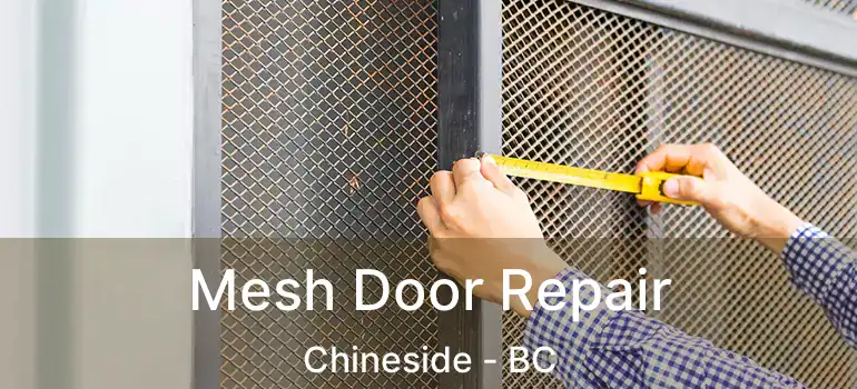  Mesh Door Repair Chineside - BC