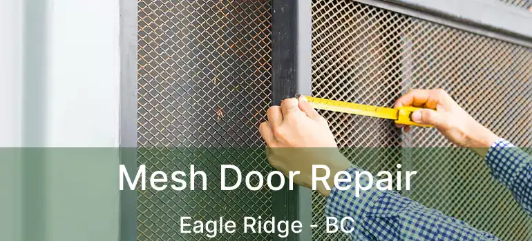  Mesh Door Repair Eagle Ridge - BC