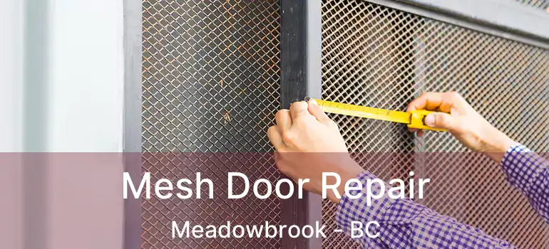  Mesh Door Repair Meadowbrook - BC