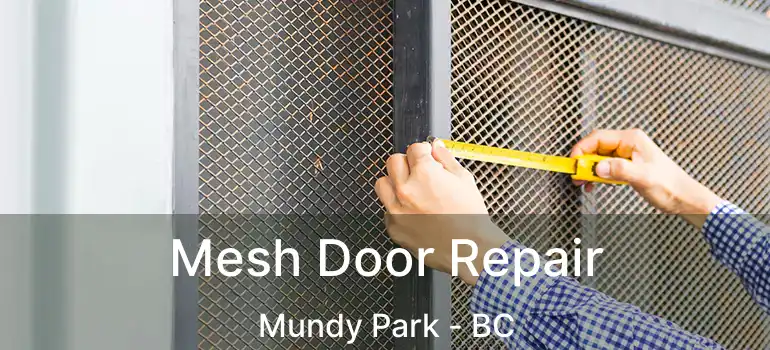  Mesh Door Repair Mundy Park - BC