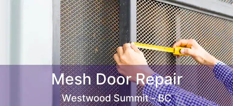 Mesh Door Repair Westwood Summit - BC