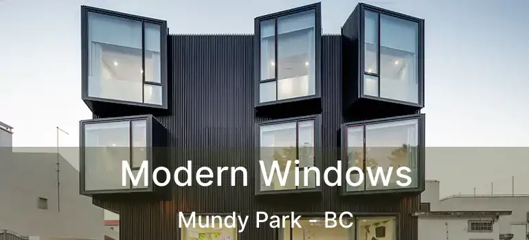  Modern Windows Mundy Park - BC
