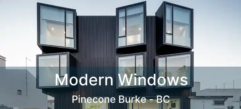  Modern Windows Pinecone Burke - BC